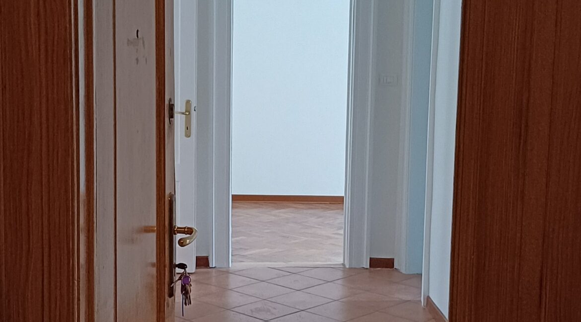 20250423_091453